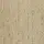 Avana Parchment