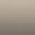 PALOMA FOG